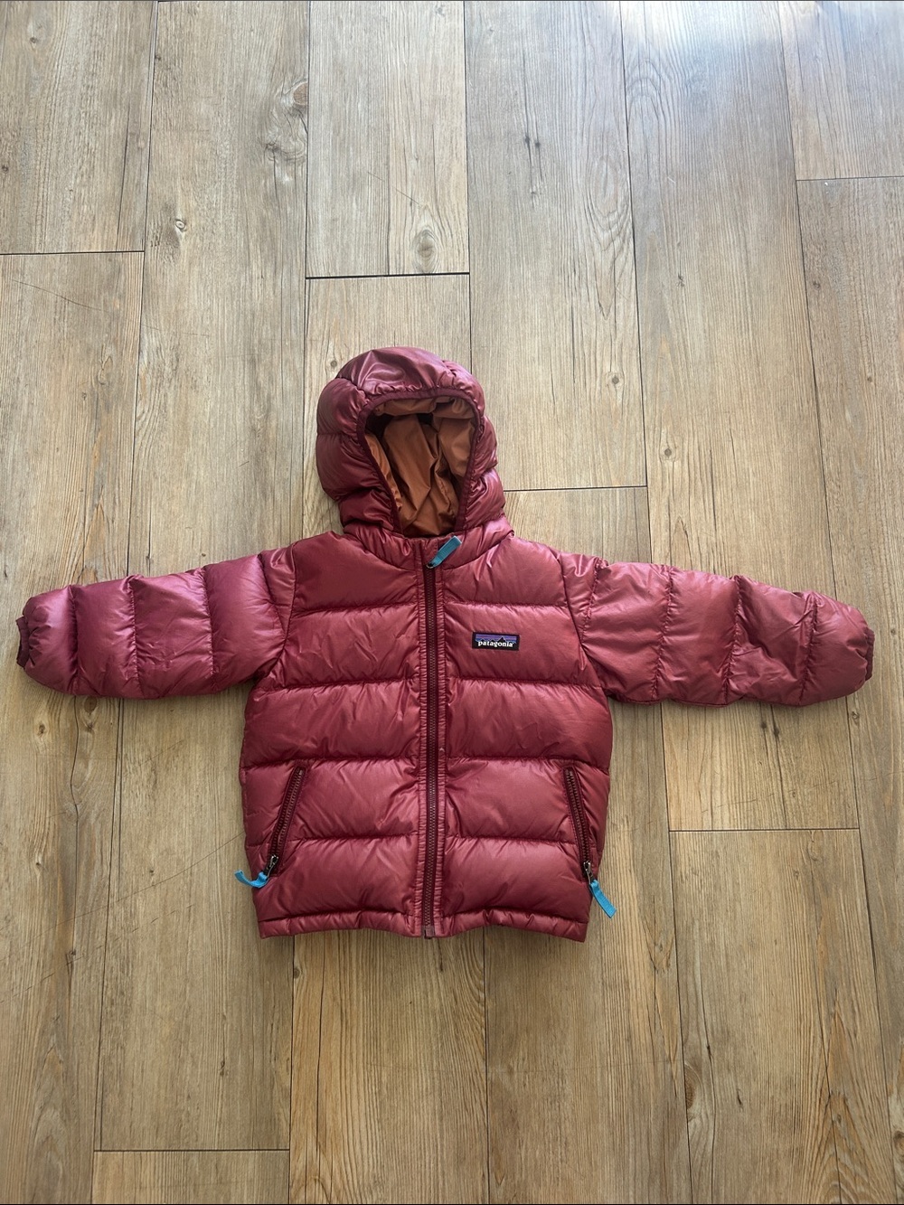 Patagonia Kids Burgundy DownPuffer Jacket with Hood